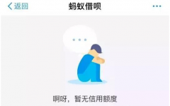 蚂蚁借呗被关闭？教你如何强制恢复额度！_个人